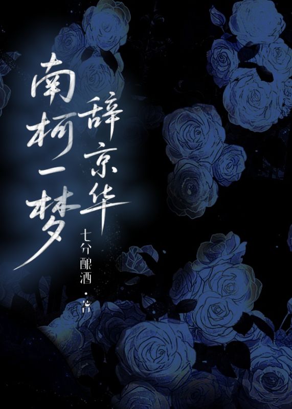 南柯一梦辞京华