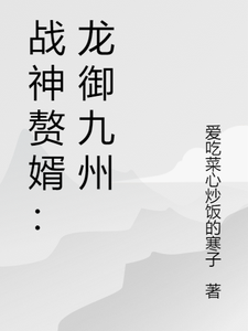 战神赘婿：龙御九州