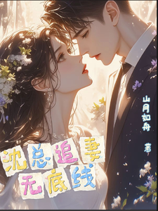 沈总追妻无底线