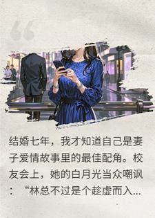 同学会妻子重遇白月光，我选择离婚