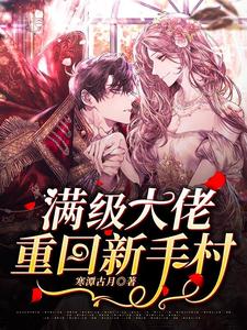 满级大佬重回新手村