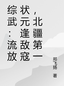 综武：流放状元逢敌寇，北疆第一