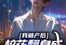 跪求主角是陈述苏晴晚的小说书名叫什么-阳光书屋