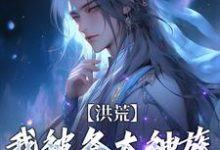陆文小说的结局在哪可以看,洪荒:我被各大神族当皮球踢免费阅读完结版-阳光书屋