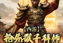 西游：抢先猴子拜师须菩提祖师免费阅读，林云大结局无弹窗-阳光书屋