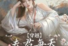 穿越:夫君每天都在争风吃醋精彩章节在线免费阅读(沈夏多夫)-阳光书屋
