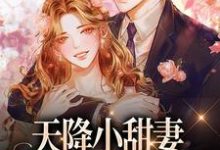 小说天降小甜妻:偏执大佬抱着哄主角徐蓁沈凌风免费阅读-阳光书屋