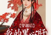 穿越后，我的黑心肝相公太撩人大结局，李希赵承泽小说无广告阅读-阳光书屋