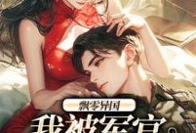 飘零异国，我被军官强制爱（孟喃枝纪恙）完结版免费阅读-阳光书屋