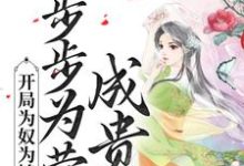 主人公是陈皎霍翱的小说开局为奴为婢，步步为营成贵妃免费阅读-阳光书屋