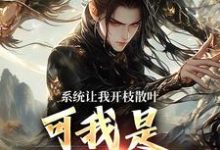 系统让我开枝散叶，可我是太监啊？（主角林辰程平安）完结版免费阅读-阳光书屋