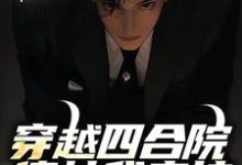 主人公是何大清的小说穿越四合院，傻柱我来护免费阅读-阳光书屋