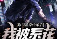 小说取得墨家传承后，我被系花盯上了主角陈瀚宁欣楠免费阅读-阳光书屋