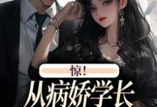 求助这本惊！从病娇学长身边逃跑失败了小说在哪里可以看完结版-阳光书屋