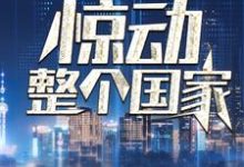 我一通电话，惊动整个国家在线看，叶北小说大结局在哪免费看-阳光书屋