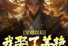 穿越以后,我娶了美艳宗主当老婆在线看,貂长聚柳漓烟小说大结局在哪免费看-阳光书屋
