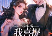 一场车祸，我喜提妻女一双？（陈芸赵乾志）完结版免费阅读-阳光书屋