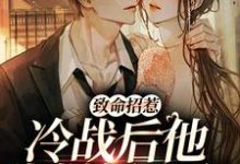 李书妤许况最新章节致命招惹：冷战后他靠撒娇求和免费阅读-阳光书屋
