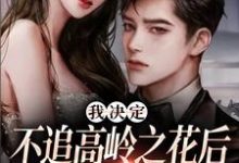 跪求主角是樊璐陆斯钦的小说书名叫什么-阳光书屋