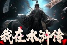 我在水浒传里收拢好汉（王伦）完结版免费阅读-阳光书屋
