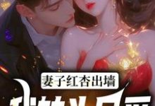 妻子红杏出墙，我转头另爱免费阅读(石昊水婉婷)小说免费读最新章节-阳光书屋