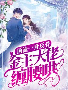 顶流一身反骨，金主大佬缠腰哄（向暖沈宴时）完结版免费阅读