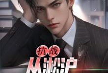 抗战：从淞沪保卫战开始热门小说(叶青山)在线阅读无弹窗-阳光书屋