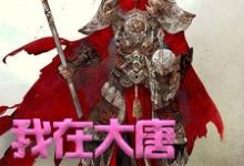 我在大唐卖军火最新章节我在大唐卖军火在线阅读-阳光书屋