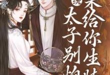 系统：太子别怕，我来给你生娃了热门小说(许锦意)在线阅读无弹窗-阳光书屋