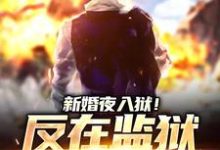 跪求主角是秦风林婉儿的小说书名叫什么-阳光书屋