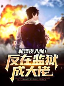 跪求主角是秦风林婉儿的小说书名叫什么