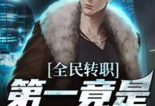 全民转职,第一竟是混子瑶(主角叶枫)完结版免费阅读-阳光书屋