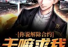 你说解除合约，干嘛求我回去完结版陆洲免费阅读大结局-阳光书屋