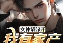 跪求主角是柳白沈茜薇的小说书名叫什么-阳光书屋
