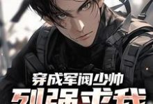 穿成军阀少帅，列强求我别扩军了热门小说(秦林)在线阅读无弹窗-阳光书屋