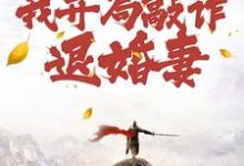 顾风小说免费阅读最新章节列表，穿到修仙界，我开局敲诈退婚妻小说在线看-阳光书屋