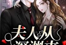 夫人从深渊来小说资源求分享，夫人从深渊来简茵熹傅霆灏在线阅读-阳光书屋