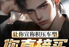让你宣称积压车型，你直接买脱销？无弹窗苏晨最新章节列表-阳光书屋
