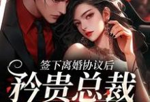 小说签下离婚协议后，矜贵总裁红眼失控（时知漾沈京墨）最新章节在哪看-阳光书屋