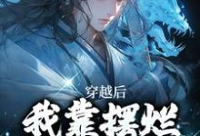 穿越后，我靠摆烂咸鱼大翻身免费阅读(林阳白幼薇)小说免费读最新章节-阳光书屋
