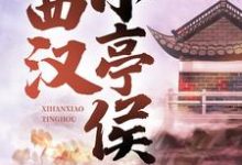 主人公是赵启明的小说西汉小亭侯免费阅读-阳光书屋