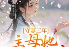 精彩章节阅读守寡三年，主母她一夜有喜(沈溪苓)免费小说在线看-阳光书屋