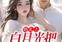 沈矜陈槿之小说（沈矜陈槿之）最新章节在线阅读-阳光书屋