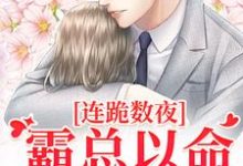 小说连跪数夜，霸总以命换我重生主角夏晚南枭免费阅读-阳光书屋