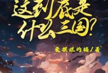 这到底是什么三国（陈默）最新章节免费阅读-阳光书屋