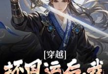 主人公是李天唐含雪的小说穿越：坏国运后，我要飞升成仙免费阅读-阳光书屋