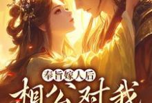奉旨嫁人后，相公对我爱不释手大结局，林思棠北辰砚小说无广告阅读-阳光书屋