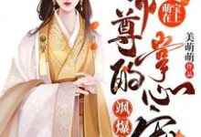容云衍沈棠在线阅读,萌宝在上:帝尊的掌心宠飒爆了-羊绒绒小说完结版章节-阳光书屋