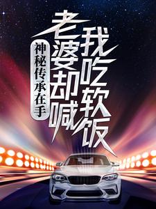完结版神秘传承在手，老婆却喊我吃软饭在哪免费看，刘浩李碧云小说在线阅读