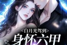 跪求主角是俞禧悦封景澈的小说书名叫什么-阳光书屋